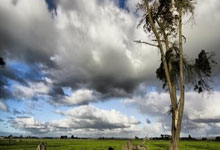 -摩洛哥瓦赫达防线稳固，力拼利物浦全力拿分