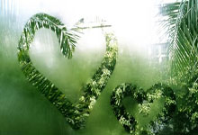 -绿茵烽火：决战亚冠资格赛的荣耀之路