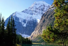 -绿茵烽火：决战亚冠资格赛的荣耀之路