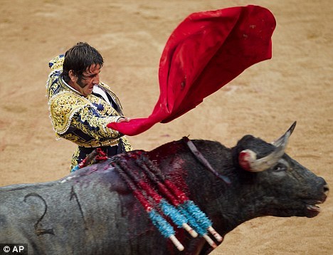 DB游戏-法国女足对战点燃赛场，观众尖叫不断的简单介绍